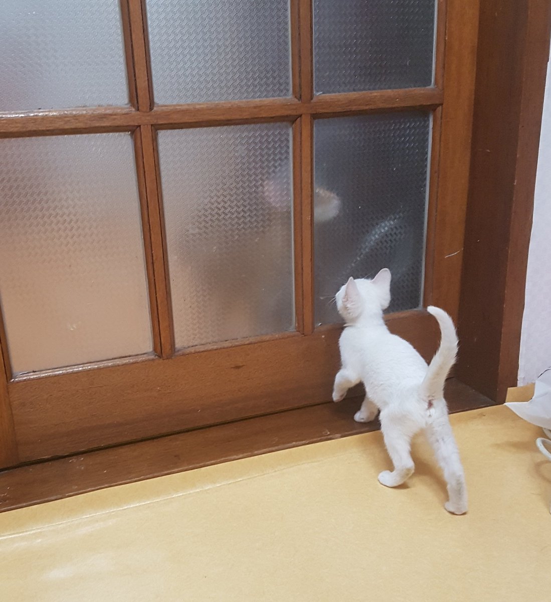 흑흑흑...