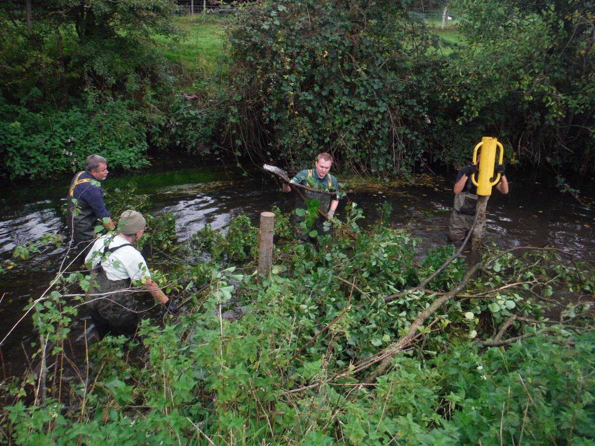 BristolAvonRT's tweet photo. #WellowBrook #riverrestoration done! Thanks #PeoplesPostcodeTrust, Bristol Avon Catchment Partnership & @EnvAgencySW https://t.co/cgZizIRf03 https://t.co/5nZyXHiq9J