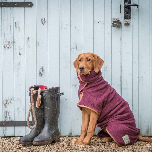 From cosy coats to safety lights, here are nine brilliant buys to see your dog through autumn: bit.ly/2wKgQYJ <a href="/barkarama/">Barkarama</a>