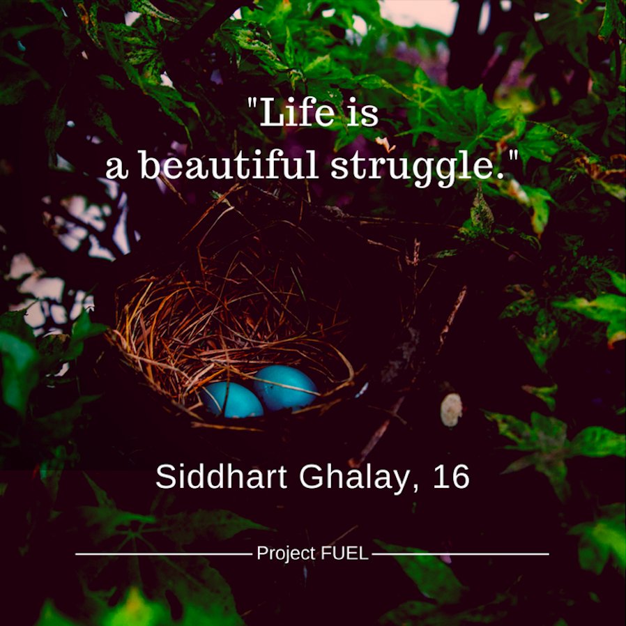 Project_Fuel's tweet photo. #LifeLessonOfTheDay #Stories #ProjectFuel https://t.co/rU74rzF386
