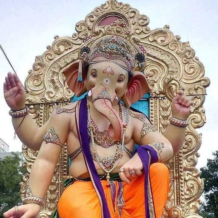 SamirMaji5's tweet image. #NewProfilePic