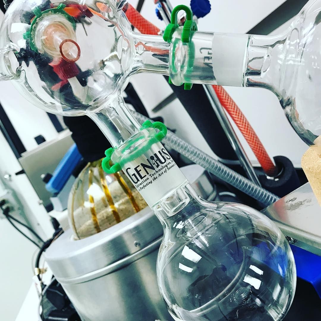 DabGenius's tweet photo. https://t.co/sQcSb4CyYi https://t.co/cROECJv9Sq