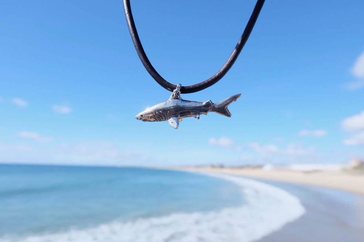deep blue shark age deep blue shark age