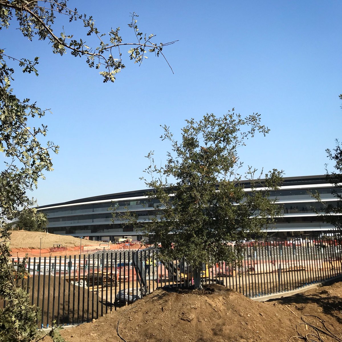 Greetings from Apple Park! This place is huge. @ Apple Park instagram.com/p/BaEVsxdFk6w/