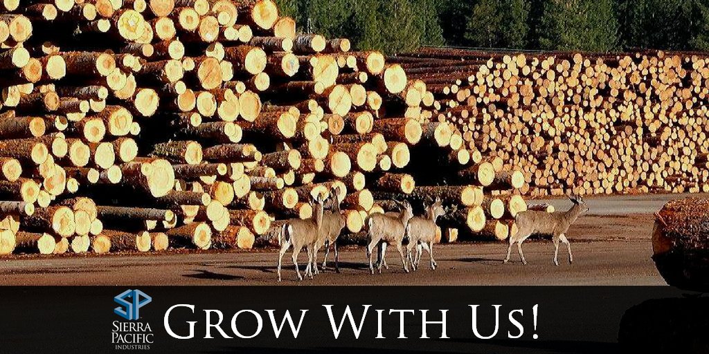 Looking for a new #job opportunity? Our Chinese Camp division is #hiring! Check out the details here: spi-ind.com/Careers/Detail… #GrowWithUs