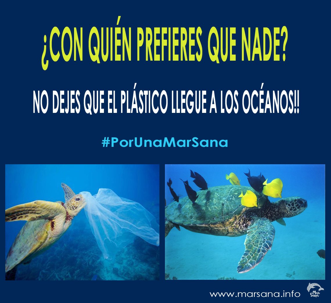 ambienteeuropeo's tweet image. ¿Con quién prefieres que nade?
Está en nuestra manos evitar que desechos #plásticos acaben en los océanos deja que naden en buena compañía!