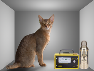 Viquipedia's tweet photo. "Gat de Schrödinger" https://t.co/veVipXfeeQ https://t.co/ecCiElFQ7I