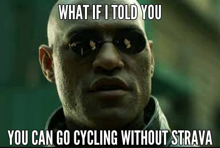 TtlWomenCycling's tweet photo. Who's a Strava worshipper and who rides rogue? https://t.co/hthg1O3oLw