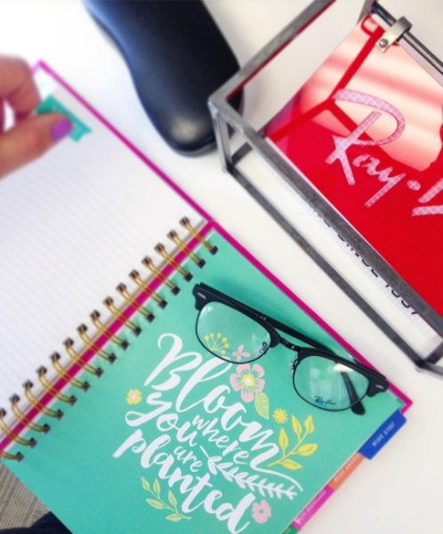 Dr. Adam McLeod tweet media