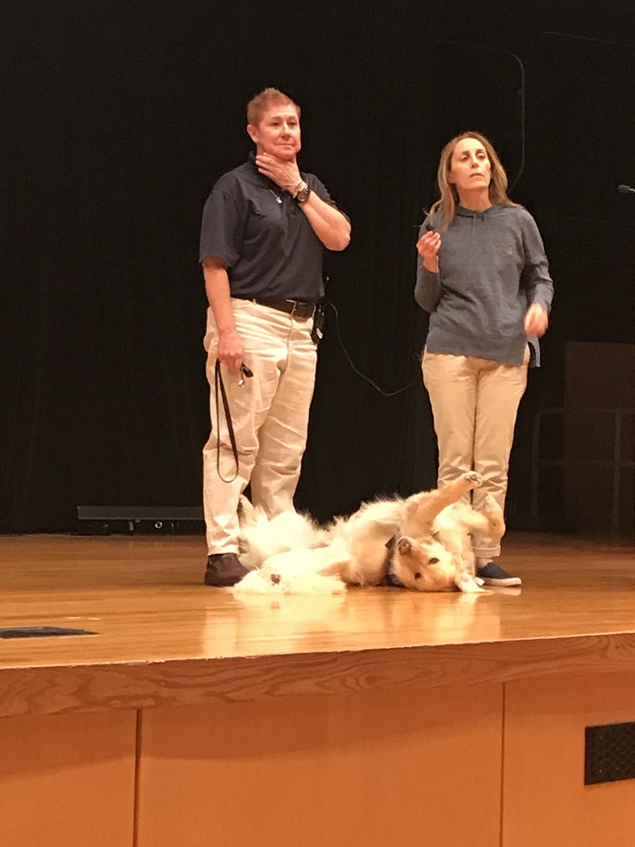 .<a href="/homerunREMI/">REMINGTON Paws</a> is charming the crowd at #EmpoweringCarolina today! <a href="/paws4people/">paws4people</a> #ndeam