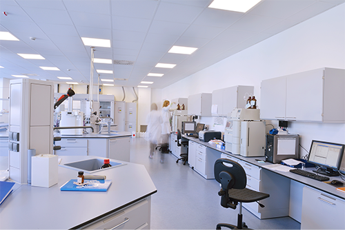 Formaspacecom's tweet photo. Are you lab bench scientist? Is an academic #labcareer or a private sector job better for you? Read tips here! https://t.co/v24JenPv5b https://t.co/GOCd7le2lW