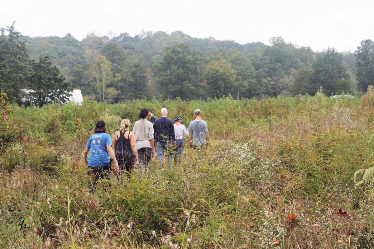 AcklandArt's tweet image. This Saturday, @UNC students can make art inspired by #patrickdougherty's #stickwork at Art a la Carte. Register: ackland.org/events-program…