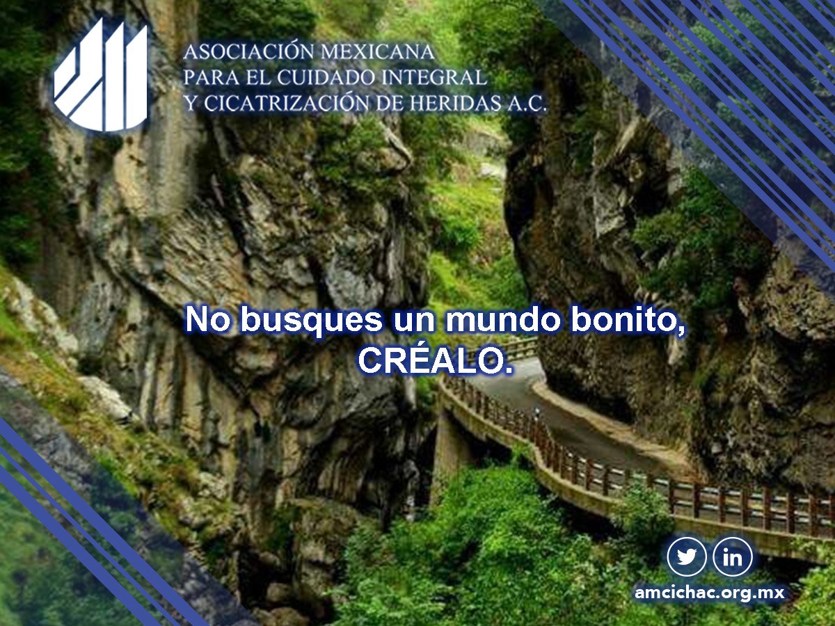 AMCICHAC MÉXICO tweet media