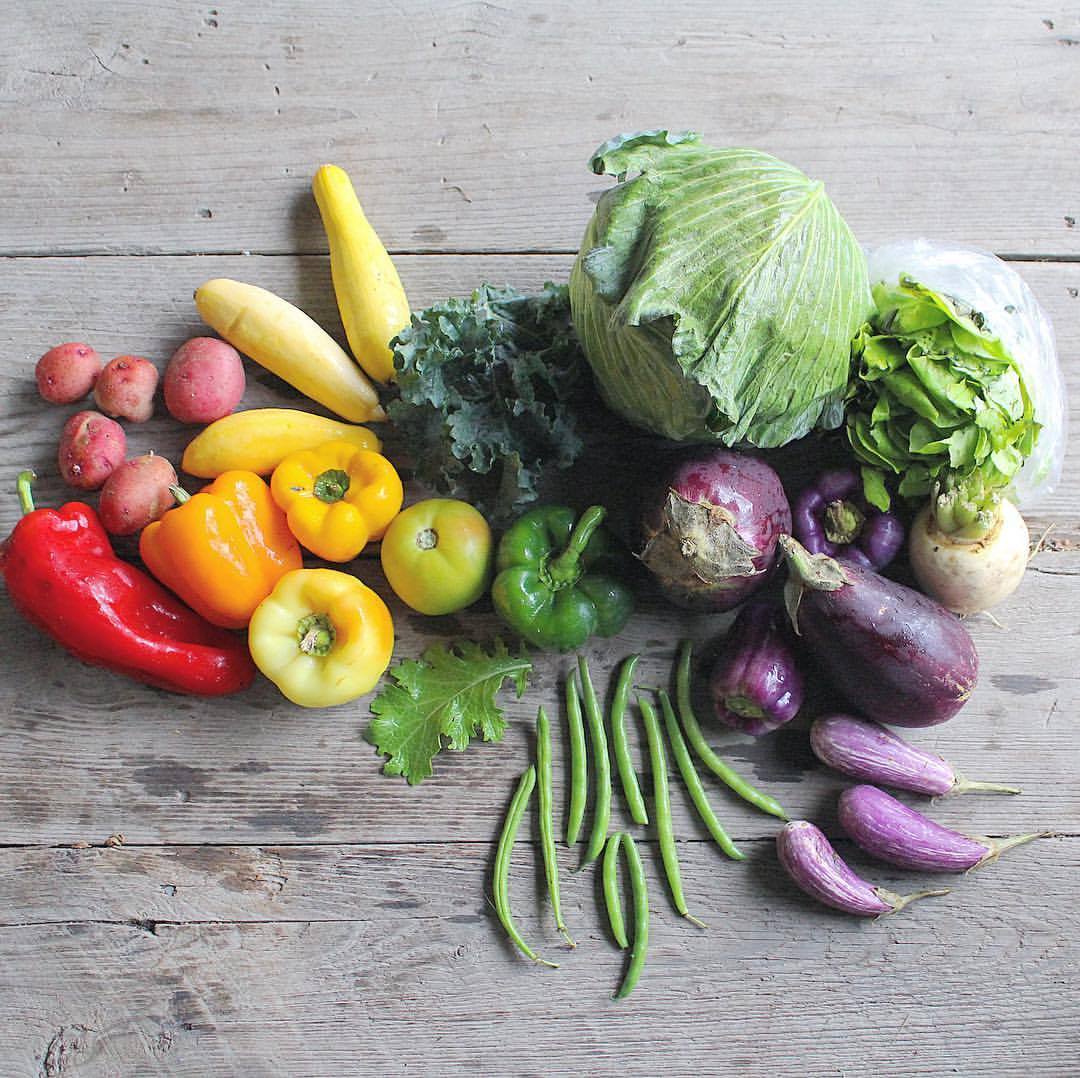 This week's colorful fall Local Farm Box! Sign up today to receive a share!  websults.wufoo.com/forms/local-fa…