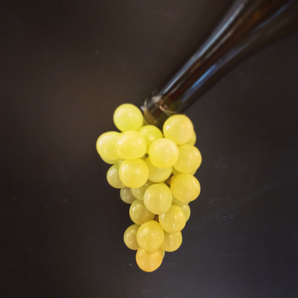 Oddbins Bruntsfield tweet media