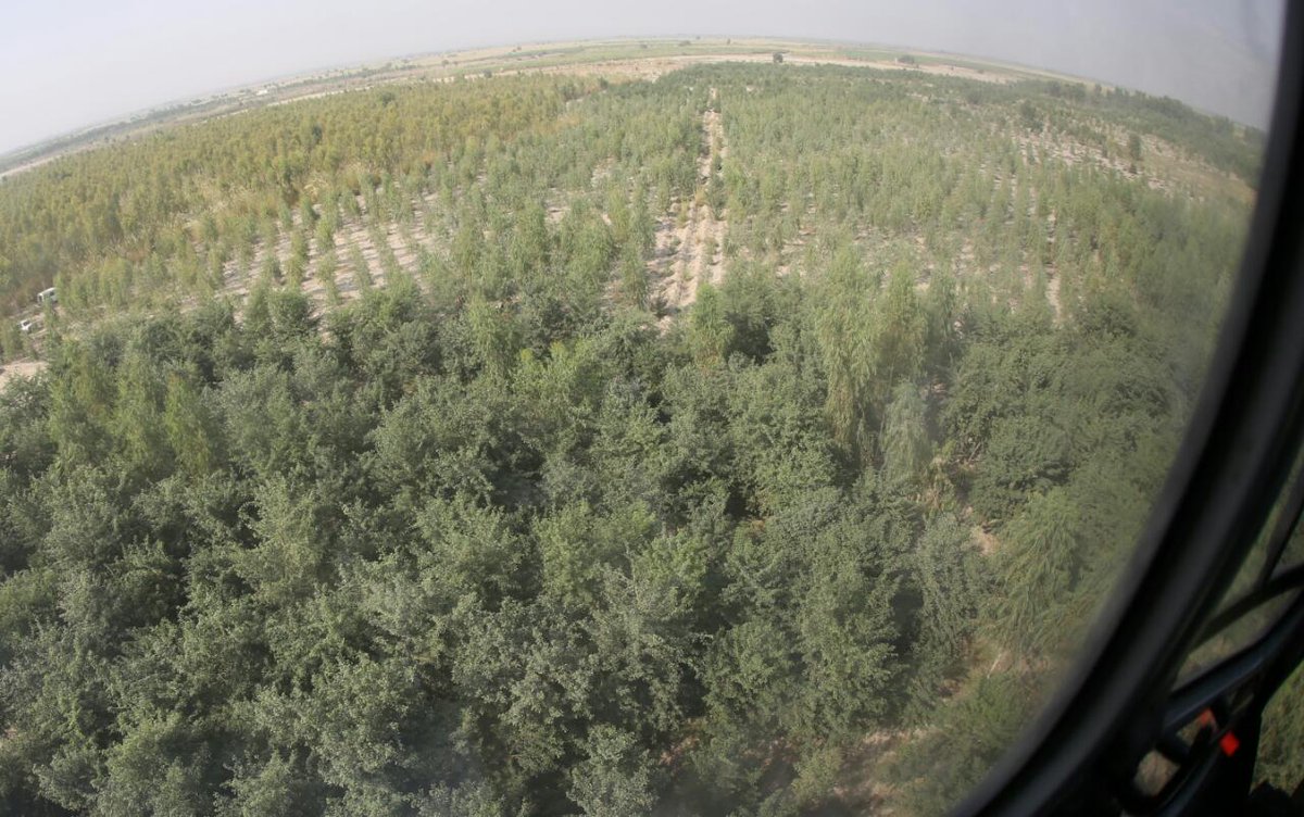 ImranKhanPTI's tweet photo. Seeing D I Khan's barren, waterlogged land transformed by #BillionTreeTsunami has been very fulfilling as I am a committed environmentalist. https://t.co/kkTitPcTWU