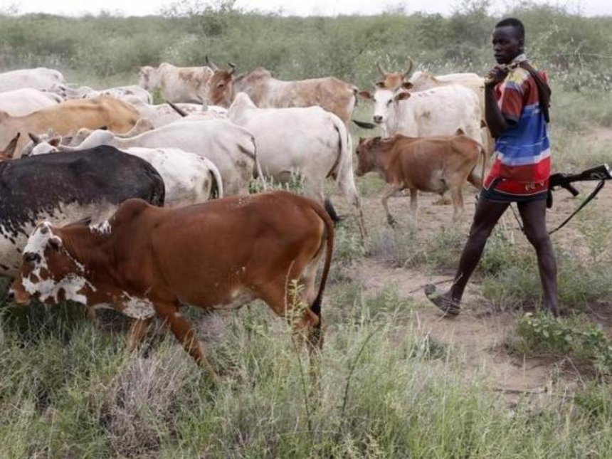 TheStarKenya's tweet photo. Refugees, forests benefit as Turkana herders torch invader trees https://t.co/TfQk0HD9UQ https://t.co/hj1e3fHVml