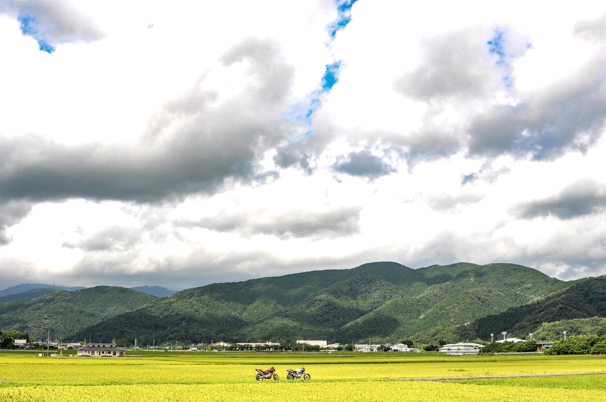 kng_0_x's tweet image. #サイドショットを晒すとrtが来る
💩