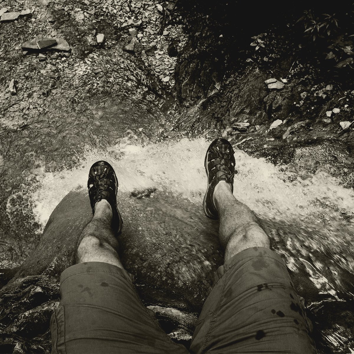 WainwrightGoldenBeer tweet media