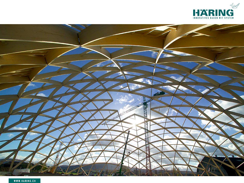 vsls1973's tweet image. Dome bulk solutions @ haring.ch 
#Dome 
#domestructures 
#domesolutions 
#bulkdome 
#bulkstorage 
#drybulk