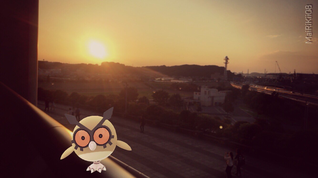 マイリキー ホーホーと秋の夕暮れ 二本足姿のホーホーは とっても可愛い ˊo ᴗ ʾʾ ポケモンgo Pokemongo ポケモンar ポケモンar写真 ポケモンと秋を感じようar写真大会 T Co Pcfxv5tj0x Twitter