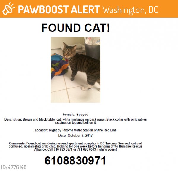 LostPetsDC tweet picture