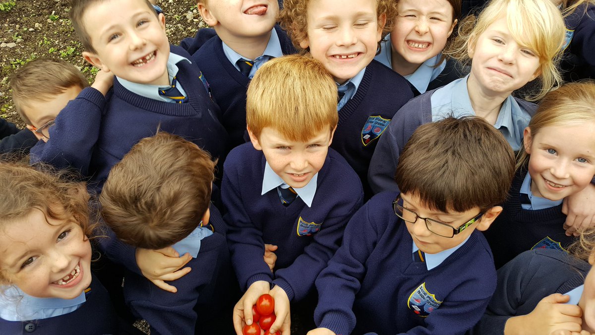Slanens's tweet photo. Busy day in first class today #mathsstations #tomatochallenge! https://t.co/o1QETM1kVf