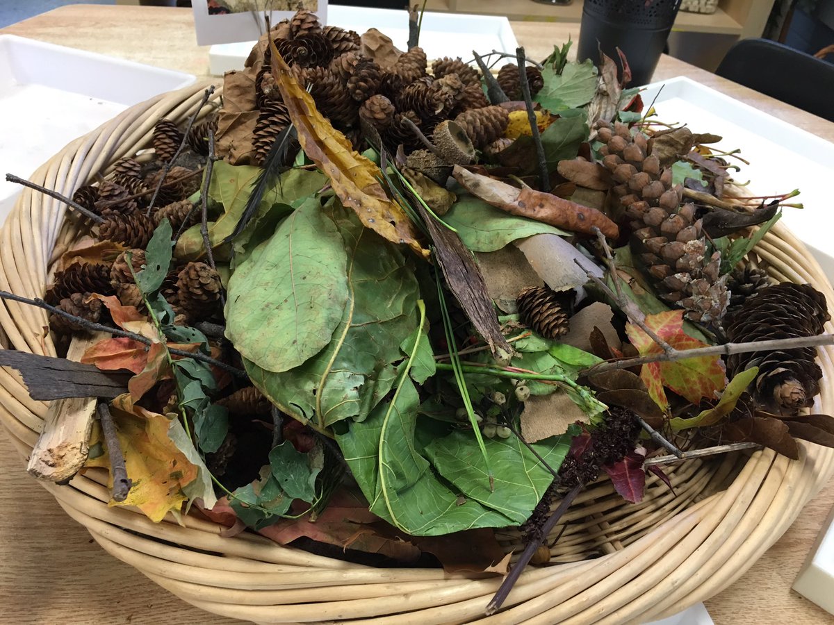 Ss brought #autumn treasures to school! So much #math potential when sorting trays and ten frames are added to the centre. #math #science