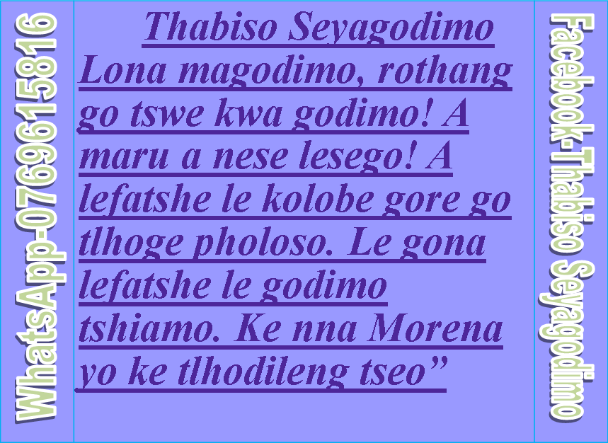 RustyMphe's tweet image. 