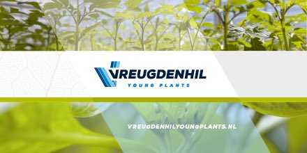 Trots op onze vernieuwde website! Neem een kijkje op vreugdenhilyoungplants.com