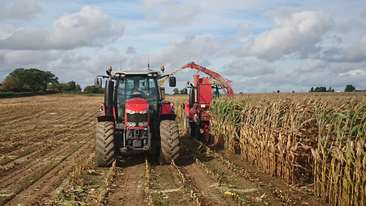 FieldOptions's tweet photo. Our Shropshire variety trial being harvested today. 22 varieties being #PerformanceTested https://t.co/Aw8fHK4Wg7