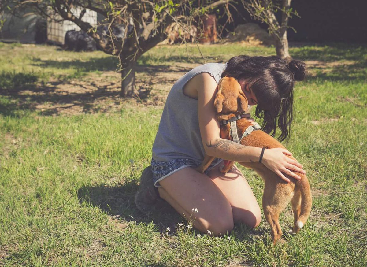 santuario_libre's tweet photo. 1 año con Bruno rescatado 💚

Nuestro zorrete preferido se salvó de morir atropellado en la carretera, ahora es el torbellino de la jauria 🐕 https://t.co/dBgNed872O