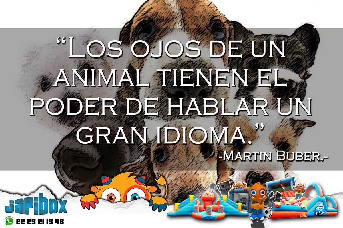 japibox's tweet photo. JapiFrases Día Mundial De Los Animales #Octubre #4DeOctubre #DíaMundialDeLosAnimales #BeJapi https://t.co/yMO6x59ZKn https://t.co/6xn5CU407X