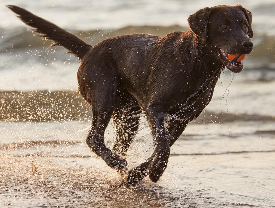 Repost 📸 @zerri27 Captured with the Tamron 70-200mm F/2.8 #withmytamron buff.ly/2g00zrU