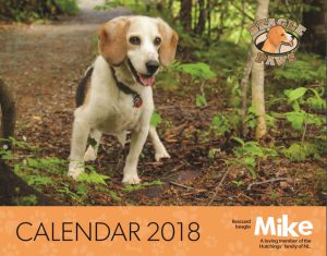 BeaglePaws's tweet photo. Hot off the press, our 2018 calendars are now available at our shelter or online at https://t.co/C9aEbq9J4j @TagaPetNL @PetPlanetHealth https://t.co/LJXBDxo05A
