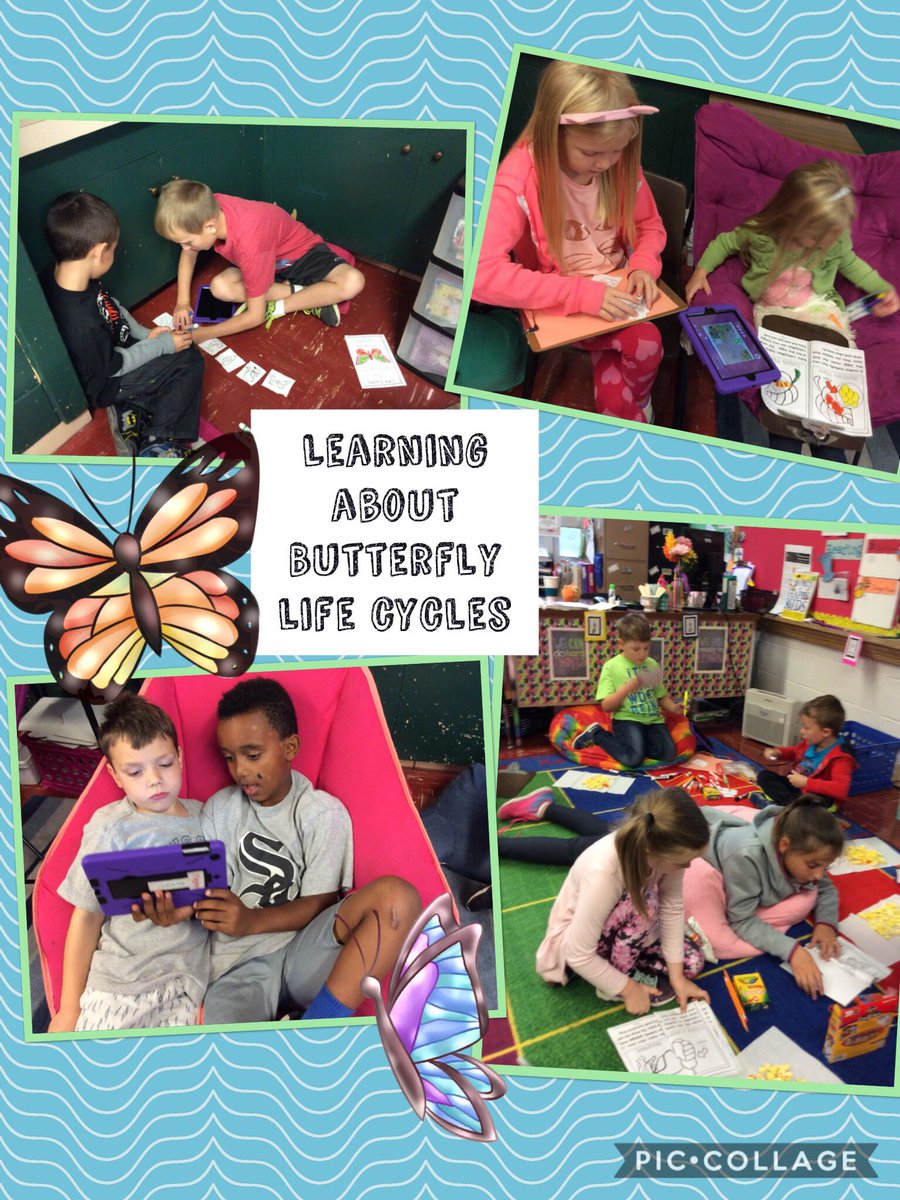 mhelmuth14's tweet photo. Third grade taught their kindergarten buddies about the butterfly life cycle!
@RUSBLVD https://t.co/1wbyj1TTlI