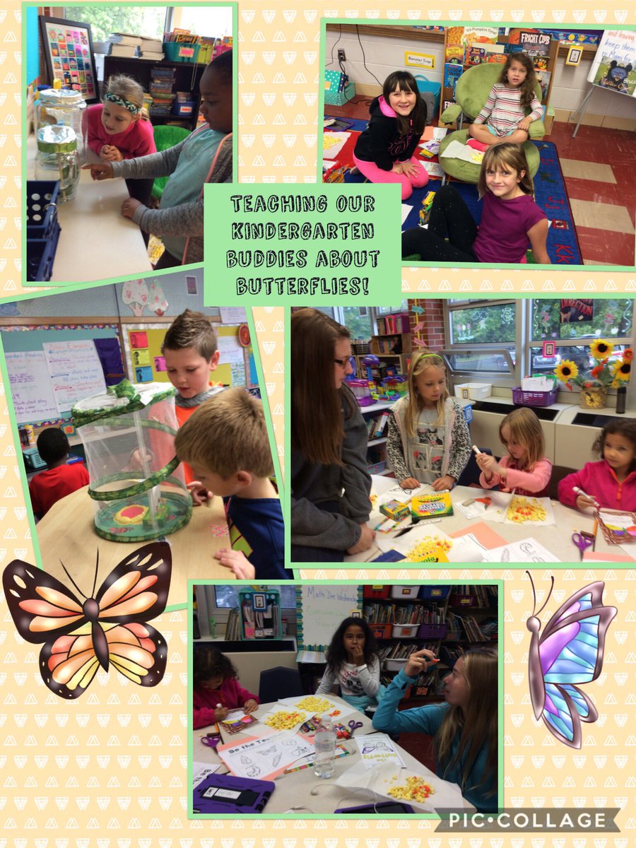mhelmuth14's tweet photo. Third grade taught their kindergarten buddies about the butterfly life cycle!
@RUSBLVD https://t.co/1wbyj1TTlI