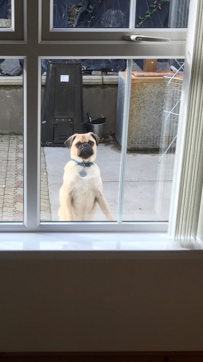 areyouacatfish's tweet photo. When you’re waiting for your parcel to arrive 😂😂😂 https://t.co/SRyponRE99
