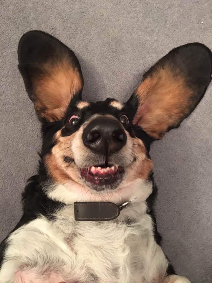 <a href="/MADAboutWitney/">Dianne</a> We're so excited !