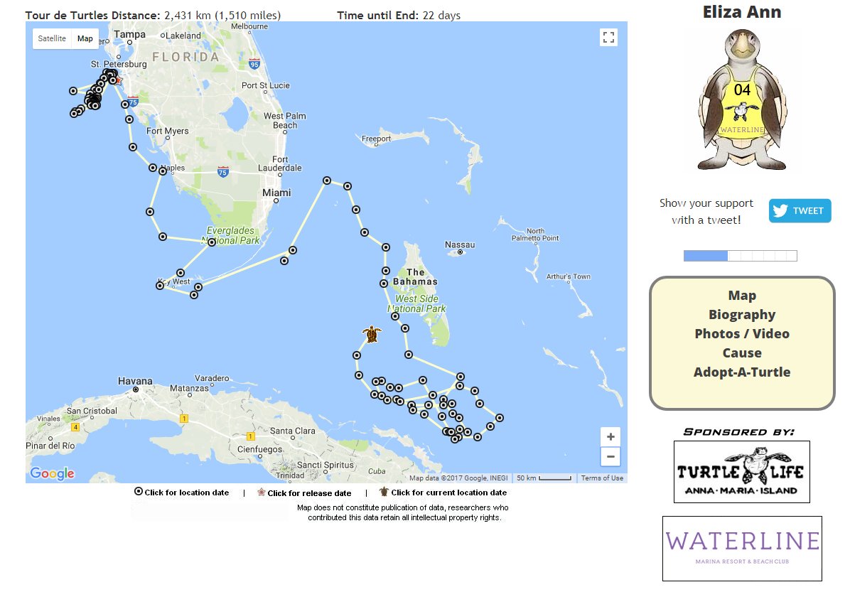 conserveturtles's tweet photo. We have a new leader in the #TourdeTurtles race! Loggerhead Eliza Ann just passed Cruz to take over 1st place: https://t.co/22TlCOGzkd #AMI https://t.co/Vo0tEuJ3zz
