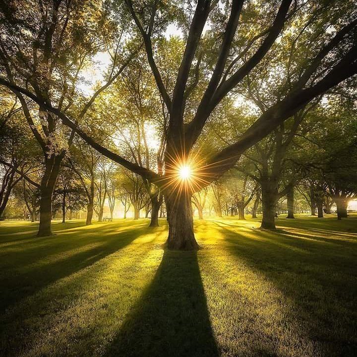 Willkommen zusammen Guten Abende empfehlen flp.ch 
Anmeldung kostenlos registrieren lassen online