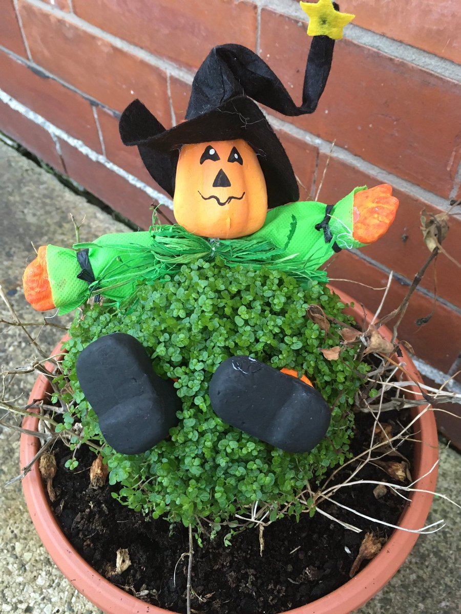 Cash for Kids Lancashire tweet media