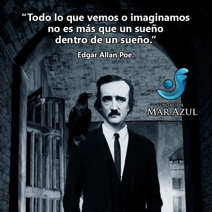 Fundación Mar Azul tweet media