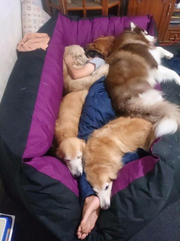 soynormalvale's tweet image. el paraíso debe ser algo así