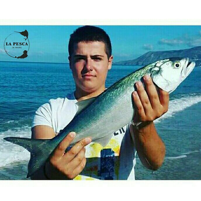 Lapescainmare's tweet image. Blu fish per il nostro fun @pronesti_raffaele 😀🙌🔝🎣🐟😀💪👊
@lapescainmare #blufish #carsonfishing #spinning  #serra #s… ift.tt/2y6sTng