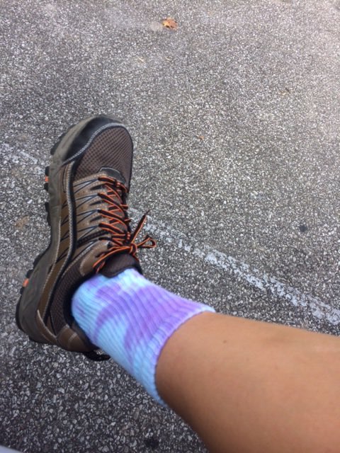 dyedforacause's tweet photo. Hiking by Abby Wafford ;-) https://t.co/35w1UikBty