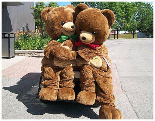 JaneyxLee's tweet photo. Could anything be cuter?#KraftBearHugs https://t.co/TX2dE0B7Nr