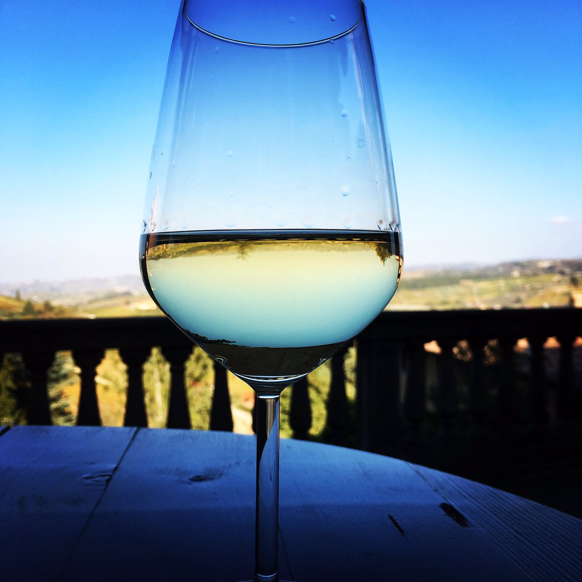 v_redrup's tweet photo. A stunning day in the #langhe at #villaribota https://t.co/dw4nXtDIWQ