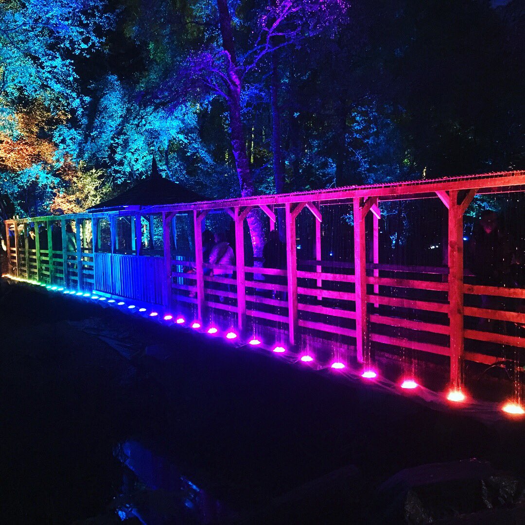 PaultheSmith's tweet image. Amazing time at #enchantedforrest highly recommend!