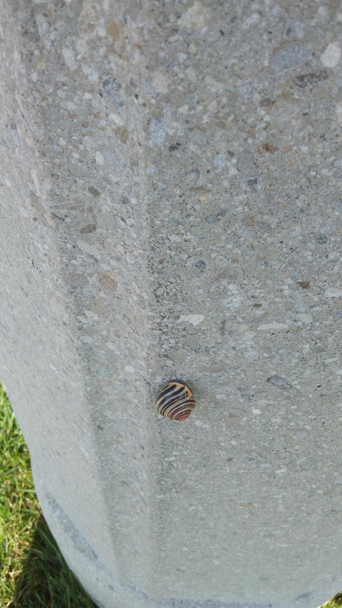 sachdevaT15's tweet photo. We enjoyed our fall nature walk today and look at what all we found! @RedWillowPS @outdoorfun #outdoorlearning #nature https://t.co/qCzP2wjh0I